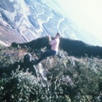 metcalf_belo_1972.jpeg